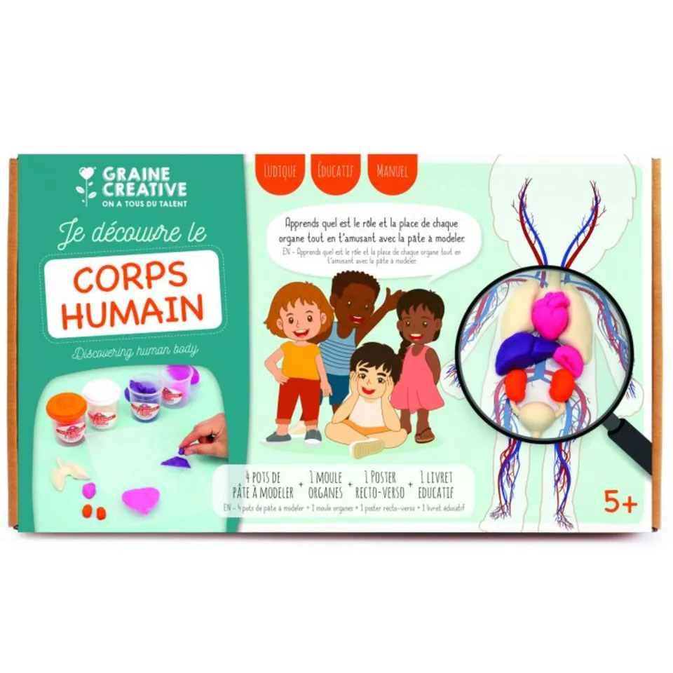 mes-courses-en-vrac-p-te-modeler-corps-humain-kit-enfant-ducatif image 1