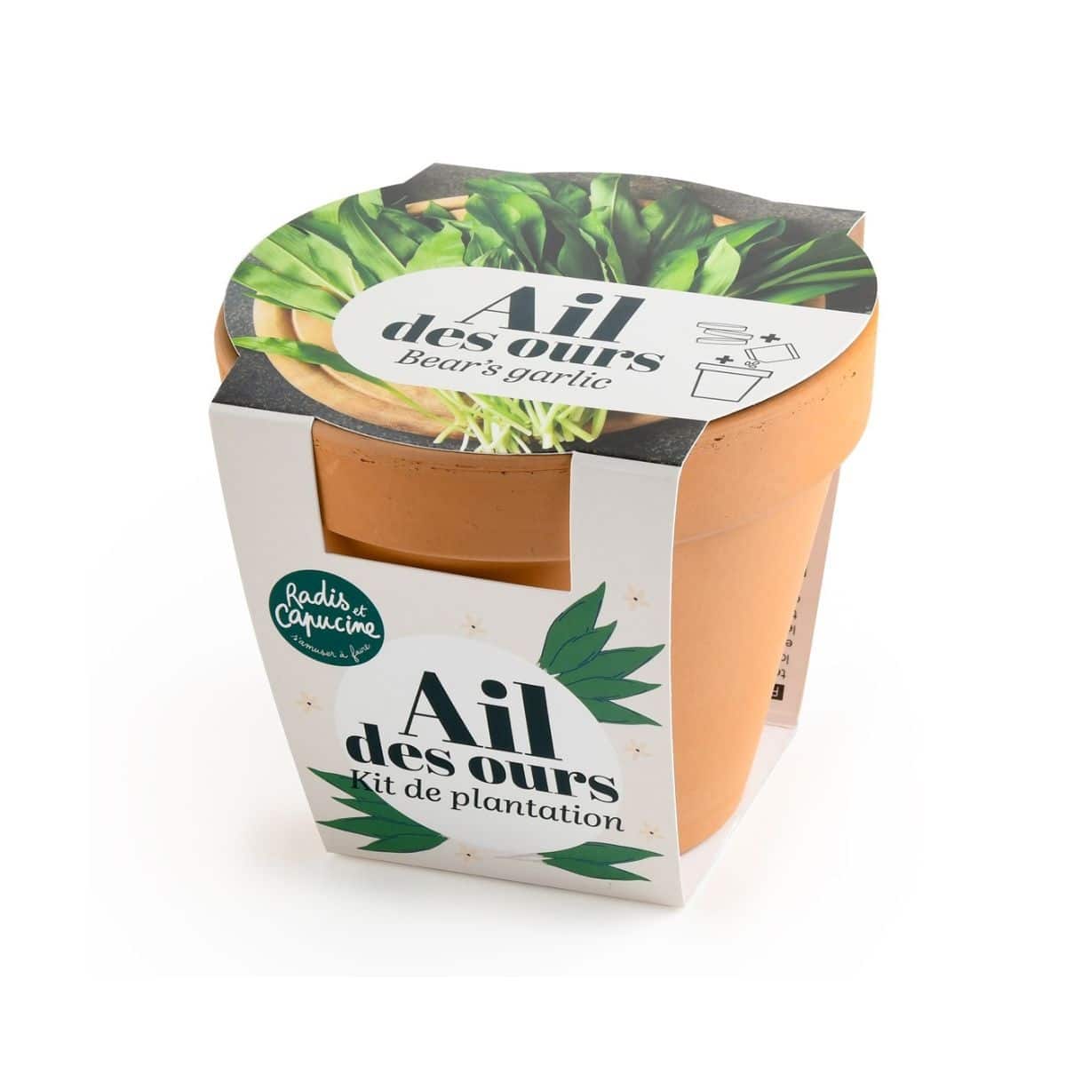 mes-courses-en-vrac-kit-plantation-ail-des-ours-pot-terre-cuite image 2
