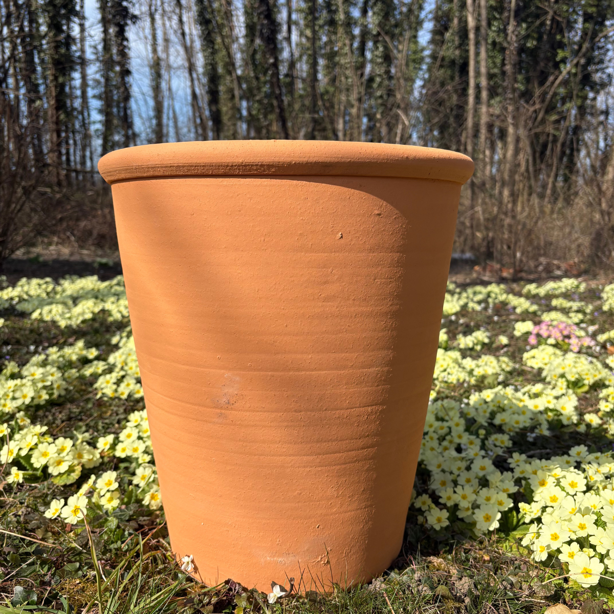 jamet-tilia-pot-ornement-terre-cuite-45l-gel image 2