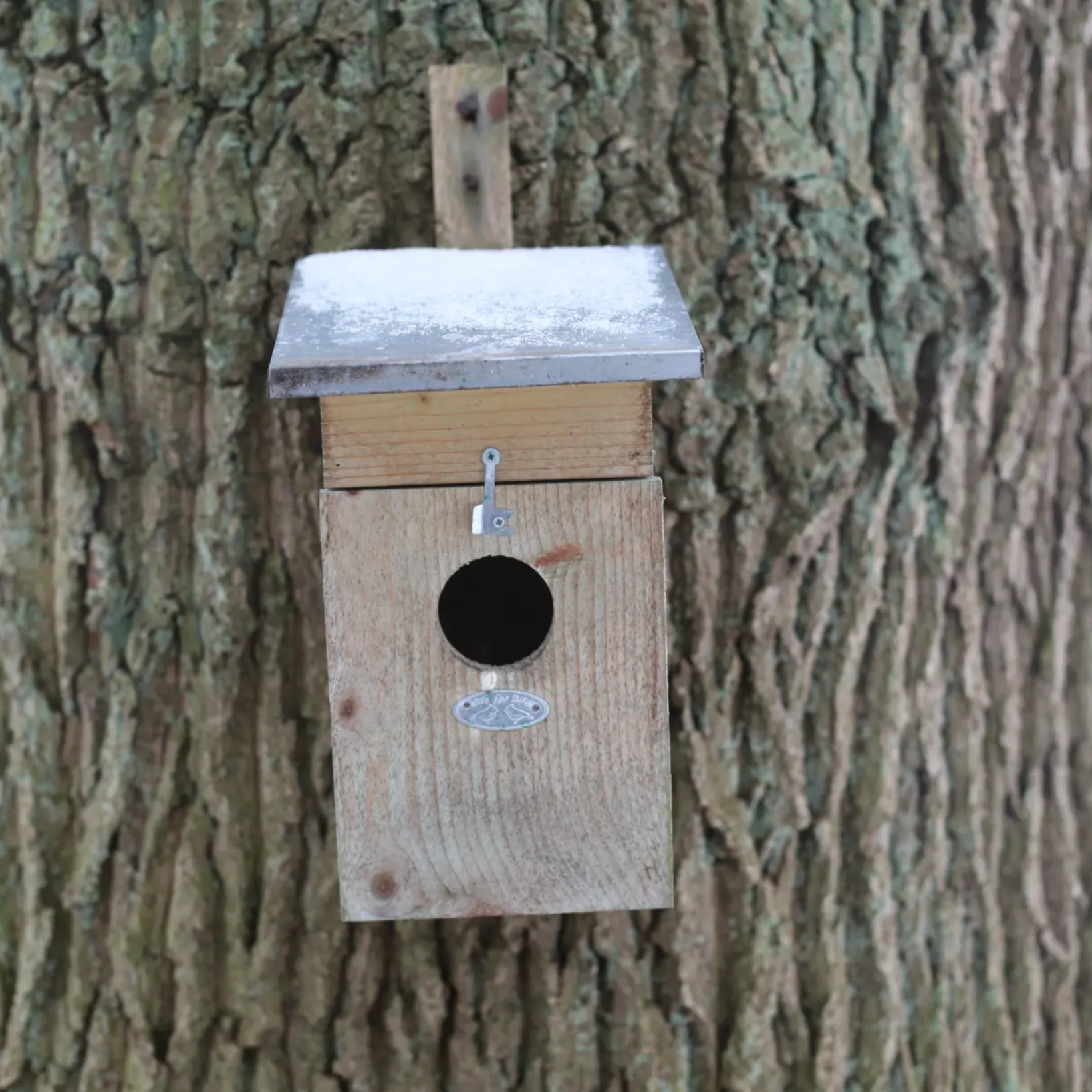 esschert-design-nichoir-tourneau-nichoir-oiseaux-bois-zinc-50-mm image 1