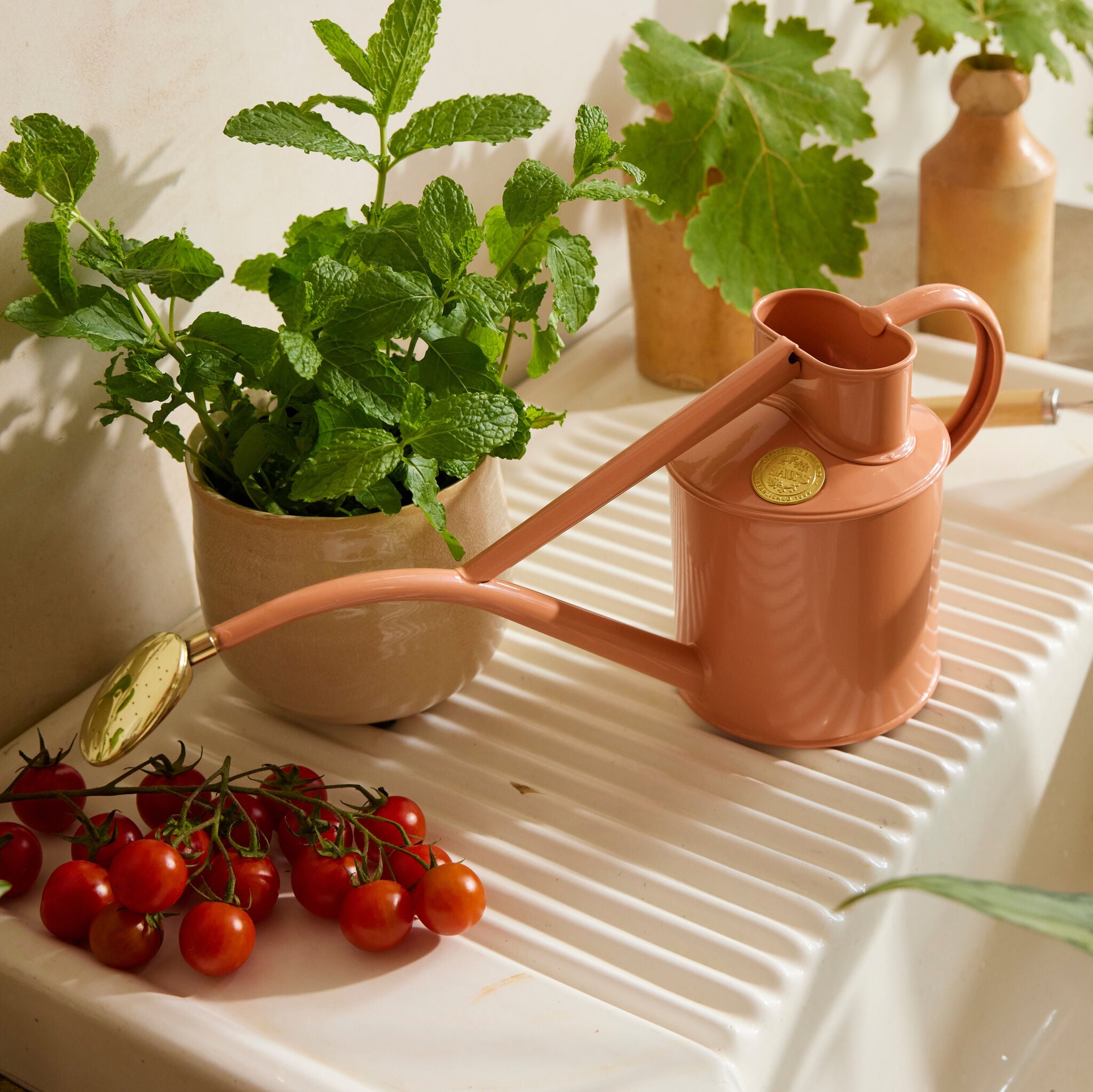 haws-rowley-ripple-arrosoir-int-rieur-rose-argile-2-pintes-m-tal image 2