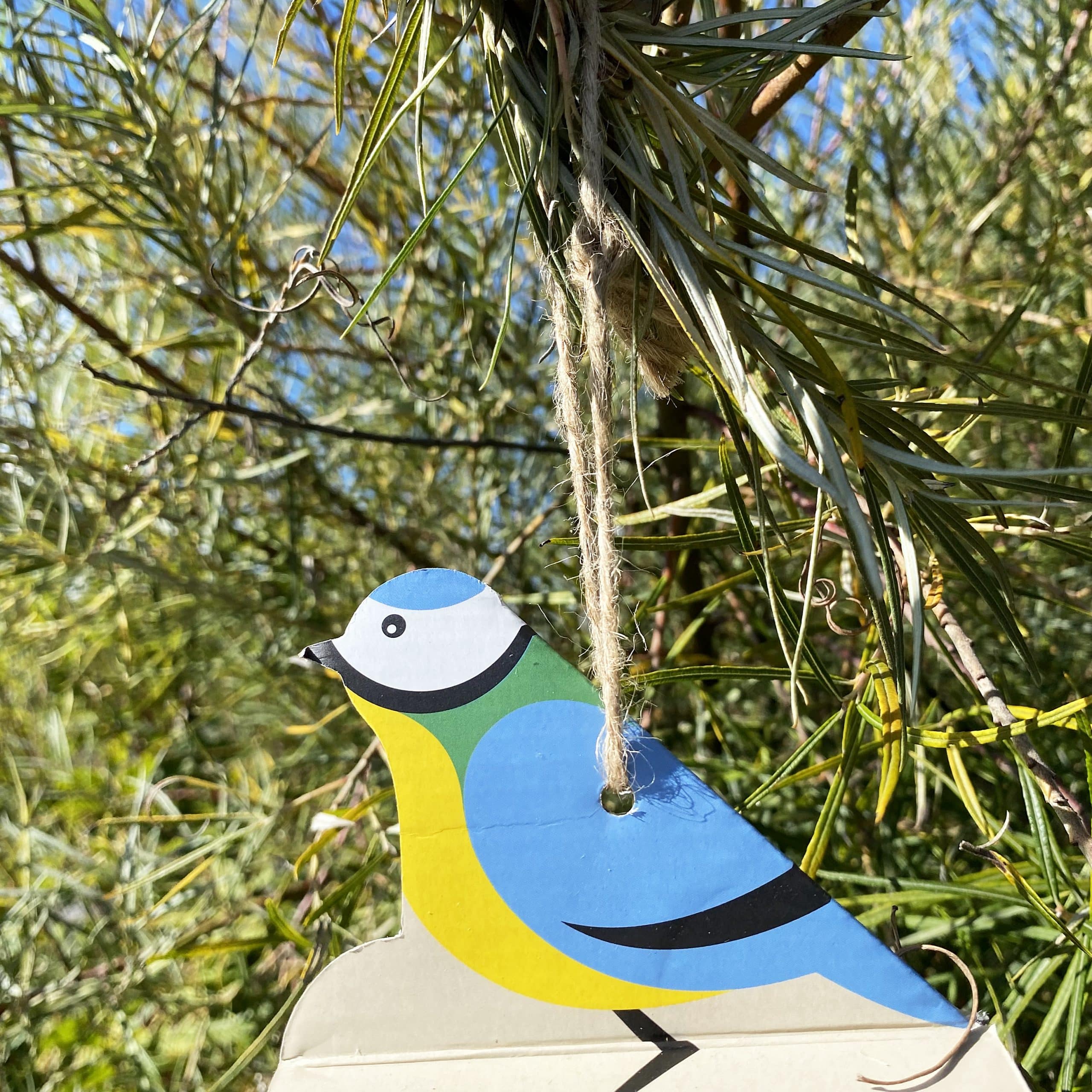 mes-courses-en-vrac-oiseaux-d-vidoir-boules-de-graisses-g-antes-500-g image 2