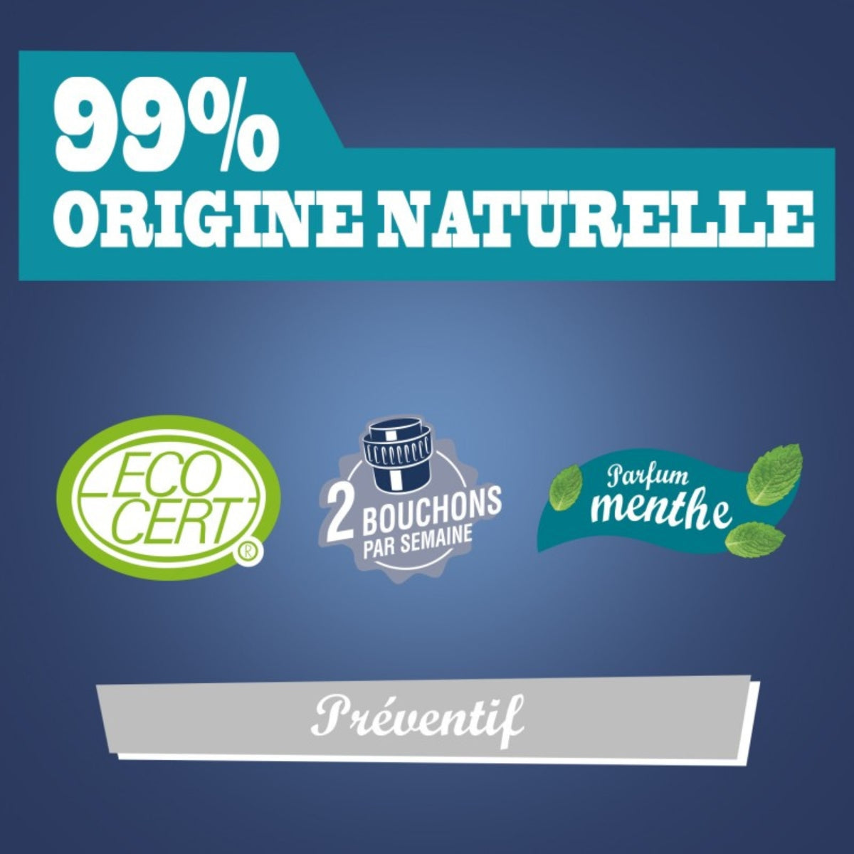 briochin-gel-entretien-canalisations-900-ml-produit-canalisation image 5