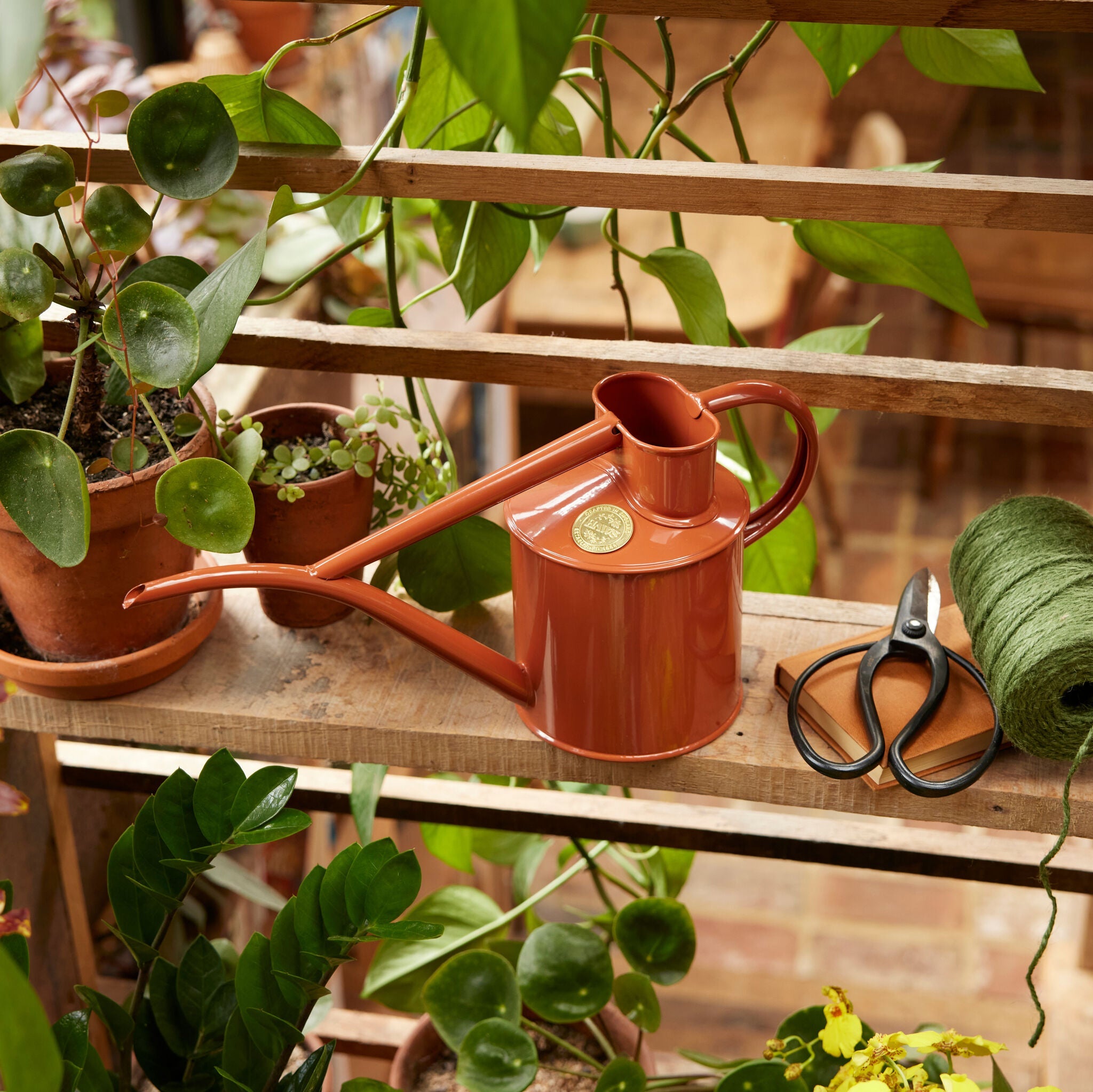 haws-fazeley-flow-arrosoir-int-rieur-orange-terracotta-2-pintes-acier image 7