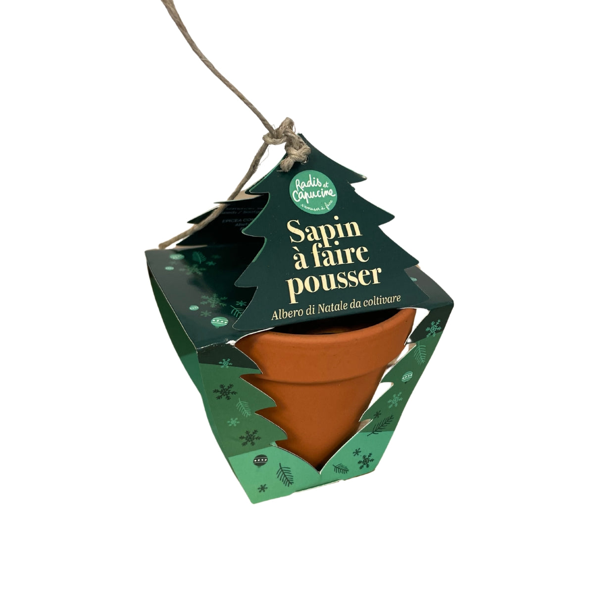 mes-courses-en-vrac-petit-kit-sapin-de-no-l-kit-planter-enfant image 1