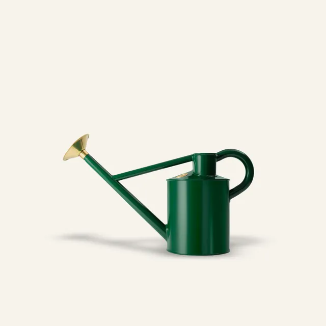 haws-bearwood-brook-arrosoir-ext-rieur-vert-1-gallon-acier-pomme image 1