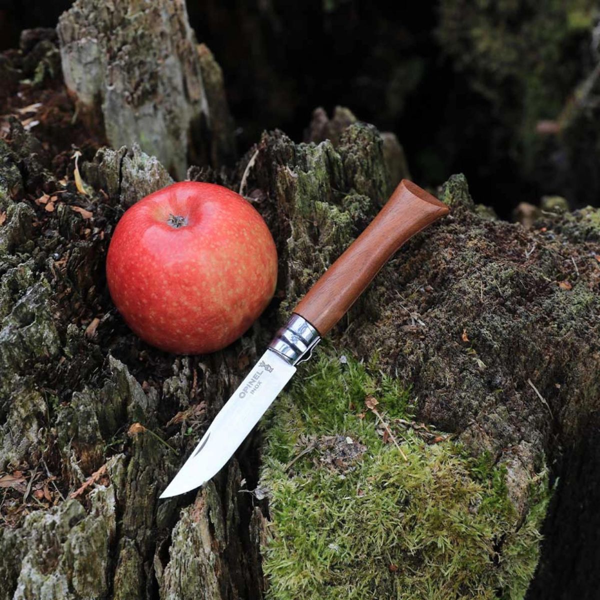 opinel-n-08-couteau-pliant-manche-noyer-tradition image 5