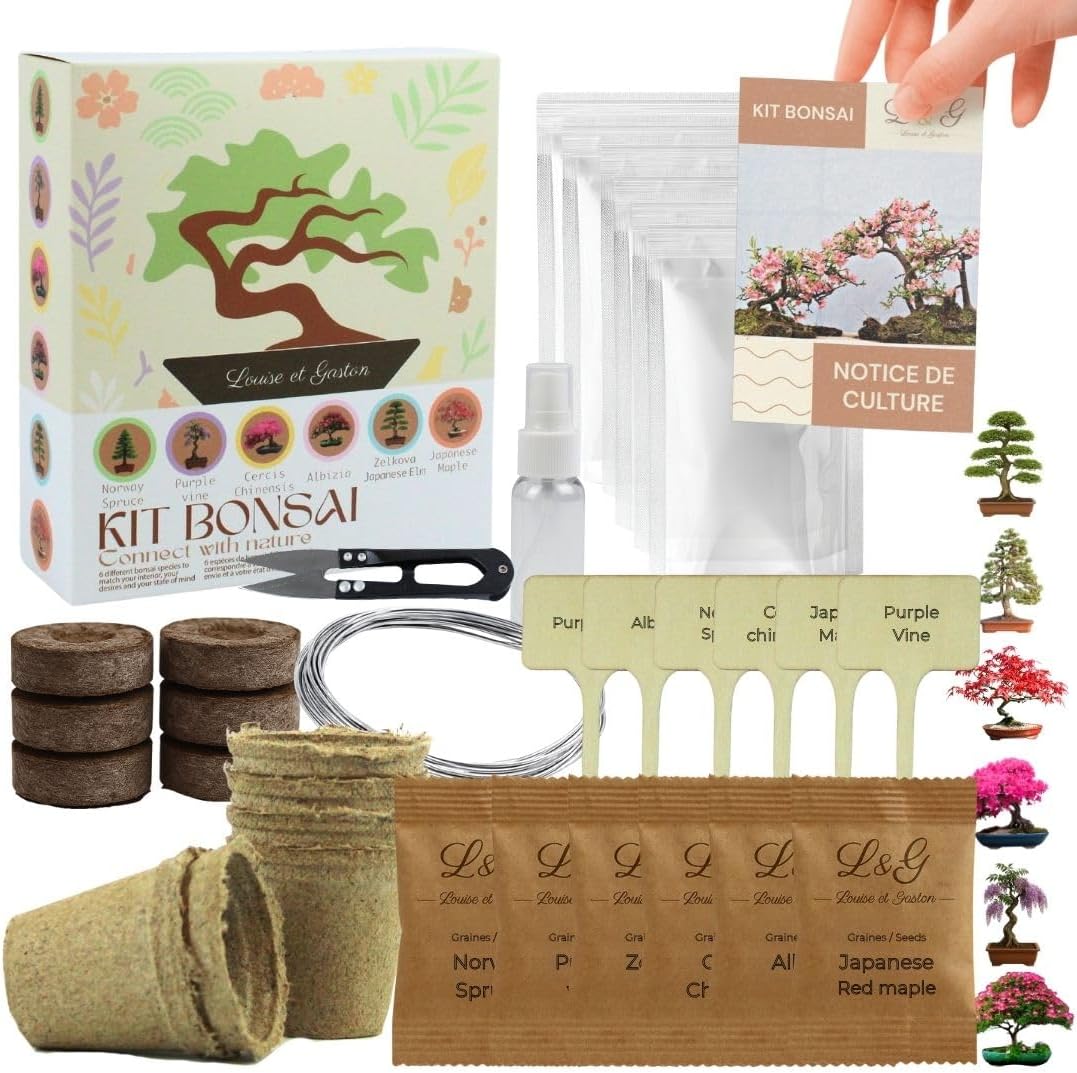 cultivea-kit-6-bonsa-s-graines-kit-planter-complet image 1