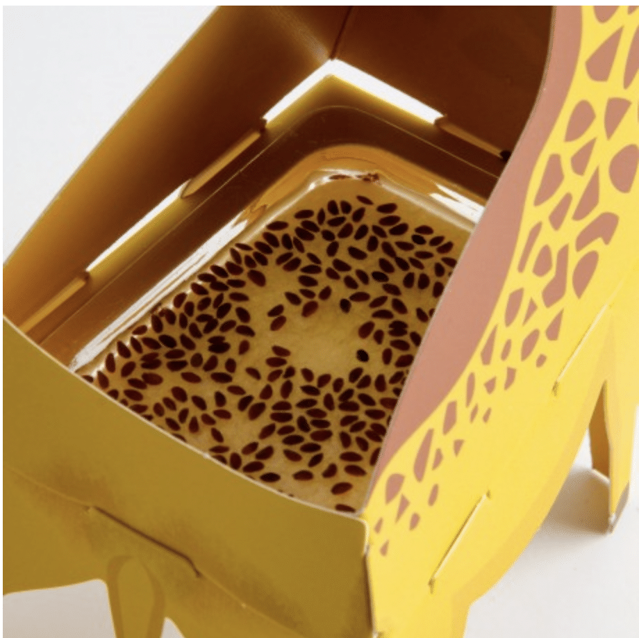 mes-courses-en-vrac-coffret-animaux-pop-up-cressonnette-x2 image 2