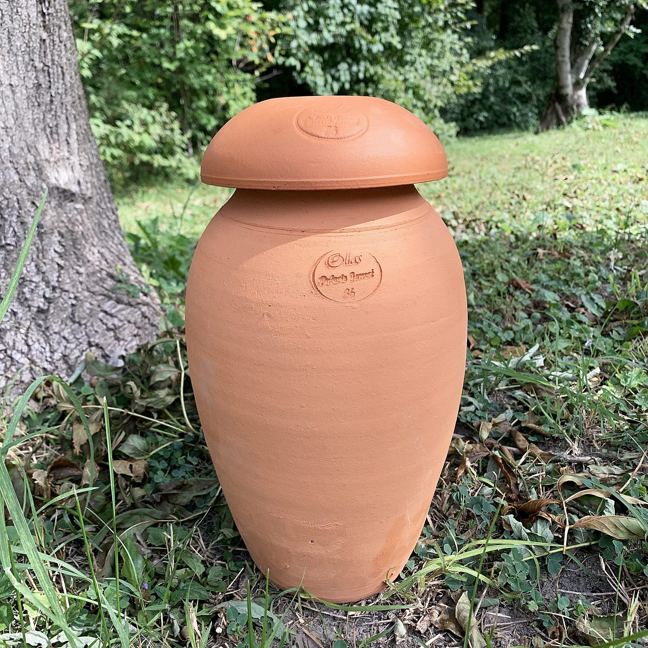 jamet-ollas-origin-6-l-olla-irrigation-pleine-terre image 6