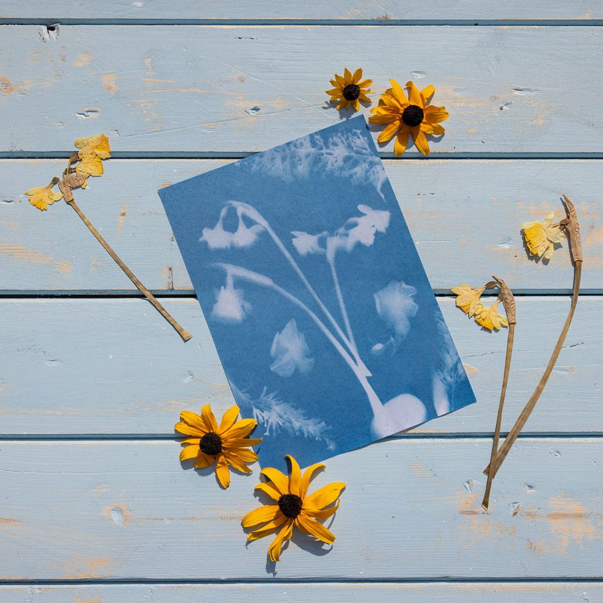 mes-courses-en-vrac-papier-photo-solaire-a5-lot-12-feuilles image 1
