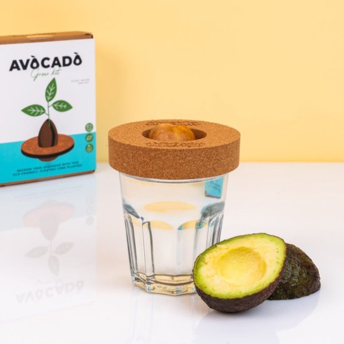 gift-republic-kit-avocat-pot-li-ge-germination-noyau-maison image 4