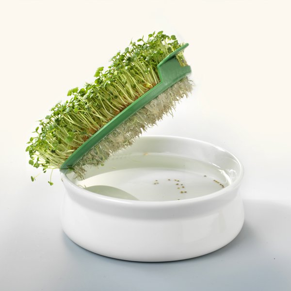 germline-coupelle-germination-graines-mucilage-gr-s image 4