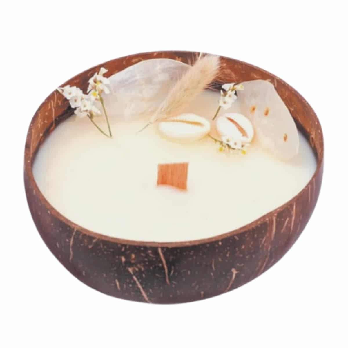 graine-cr-ative-bougie-coco-kit-diy-cire-soja-parfum-mono image 2