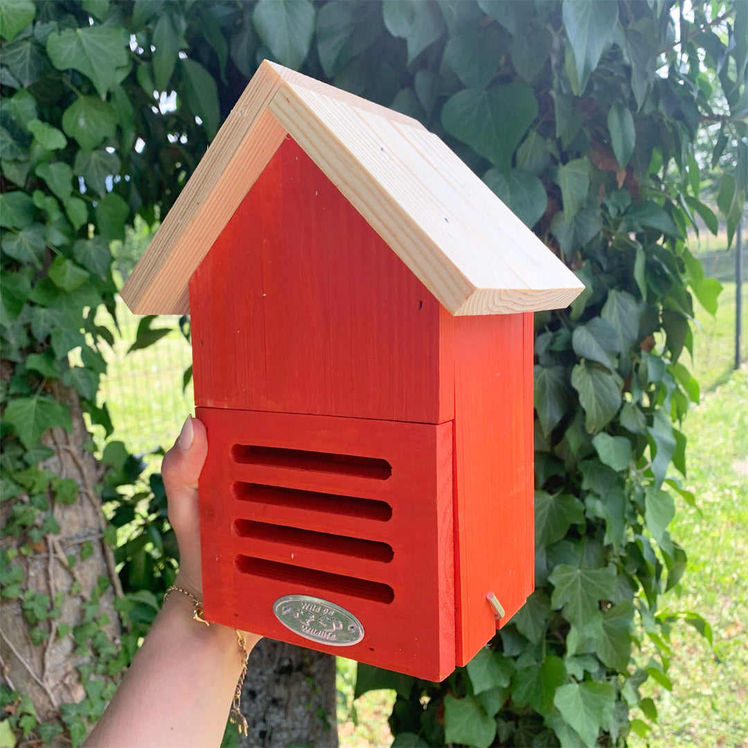 esschert-design-h-tel-coccinelles-bois-coloris-al-atoire image 8