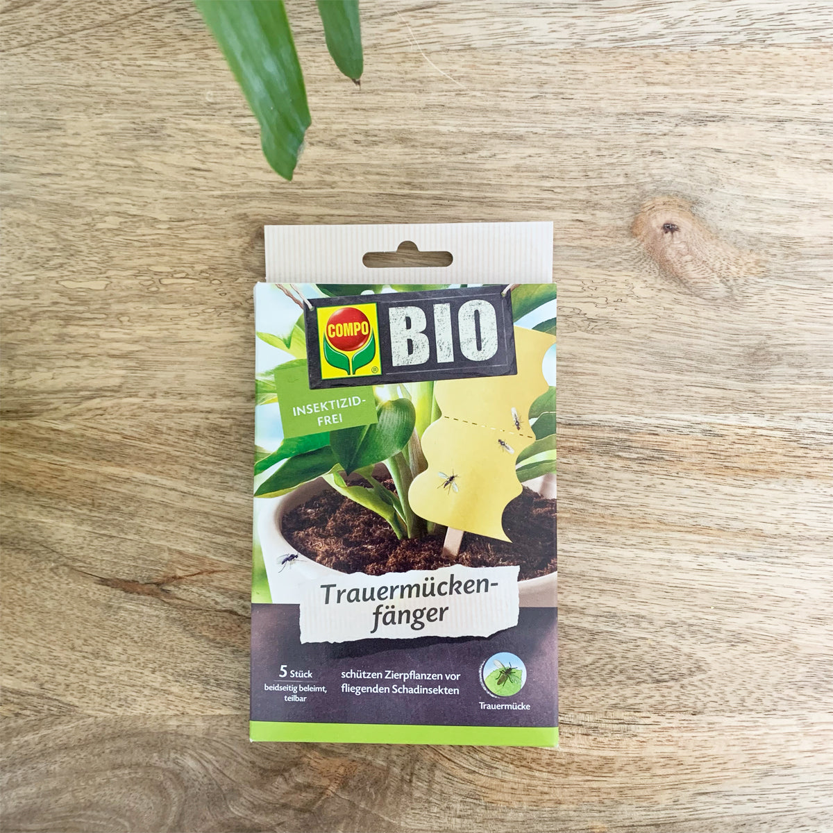 pi-ges-collants-jaunes-sciarides-lot-de-5-sans-insecticide image 1