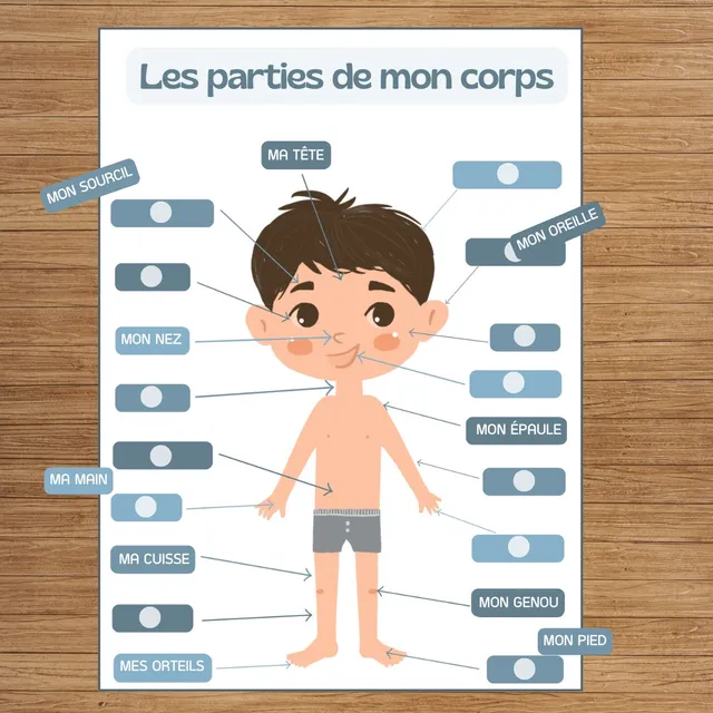 toasty-tableau-j-apprends-corps-gar-on-activit-ducative image 1
