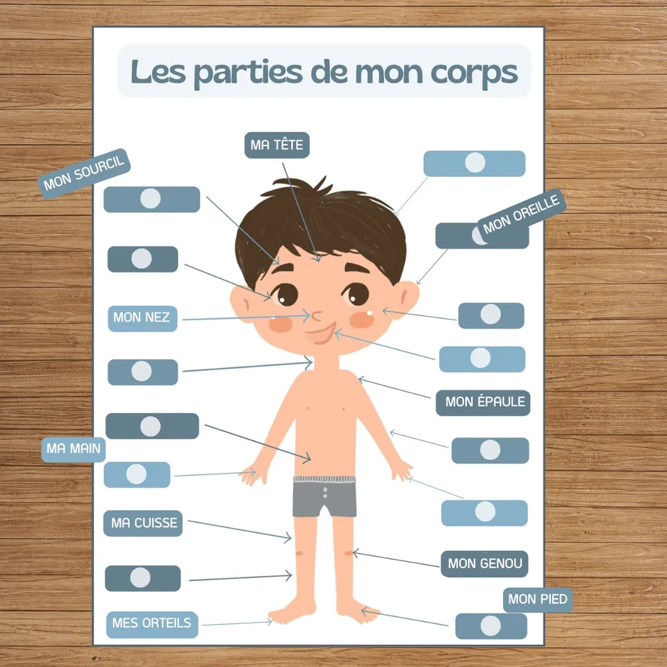toasty-tableau-j-apprends-corps-gar-on-activit-ducative image 1