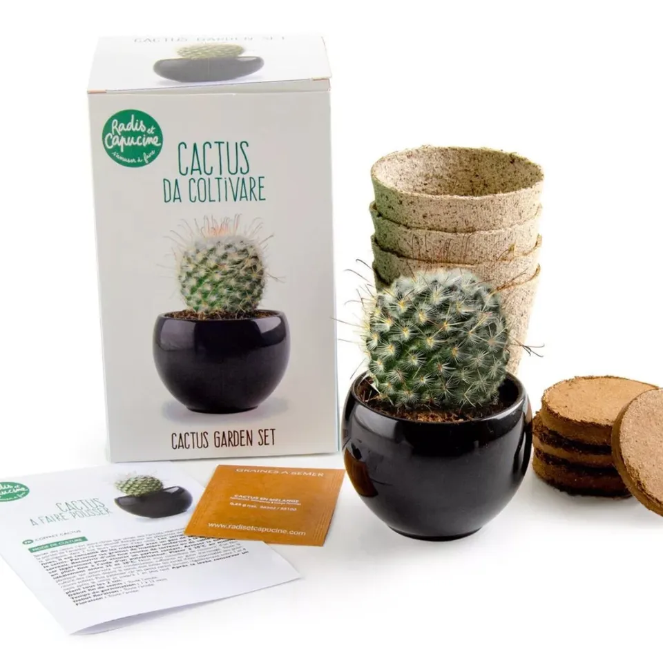 growing-paper-kits-kit-cactus-faire-pousser-pot-c-ramique image 1