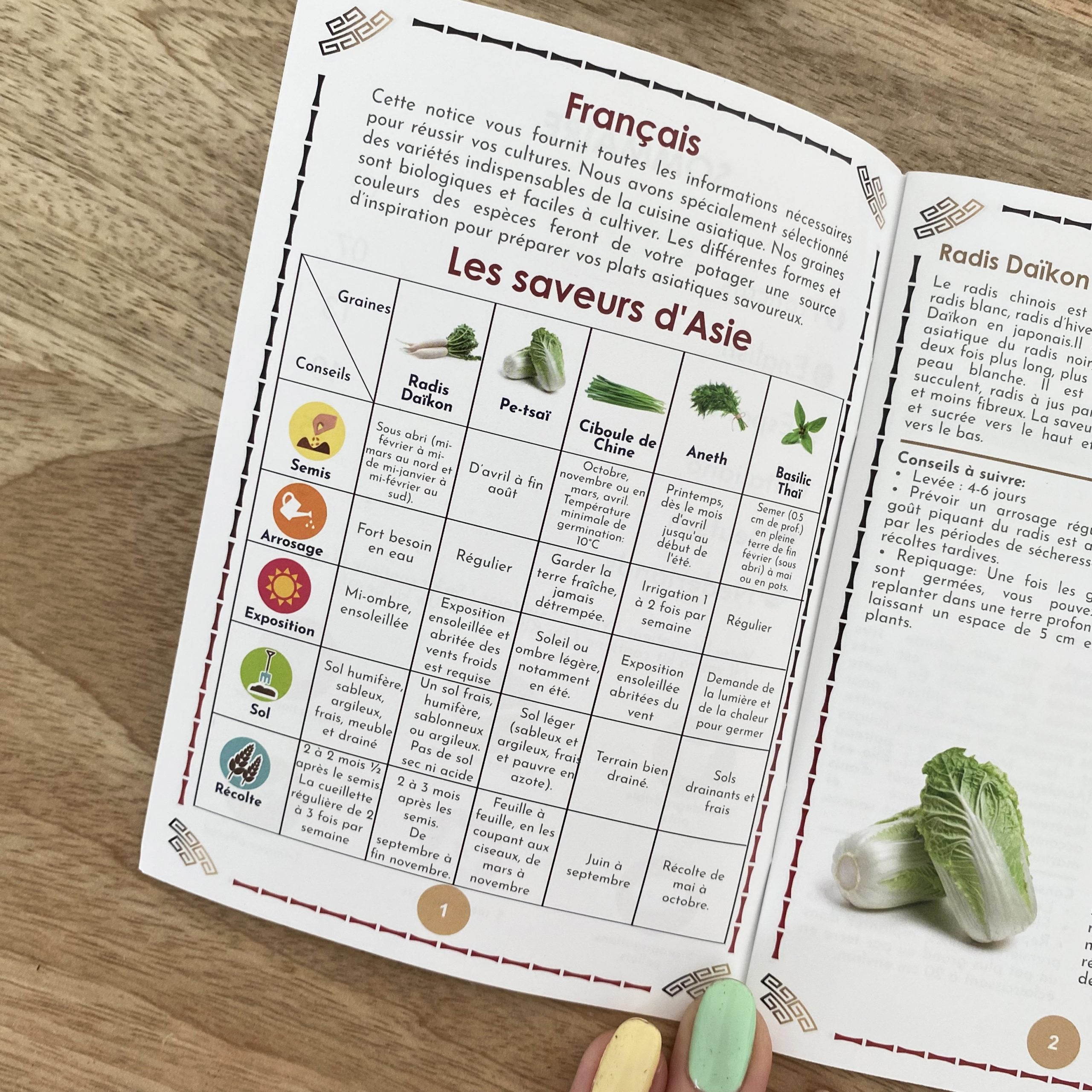 kits-planter-menu-asiatique-bio-coffret-5-graines-potager image 4