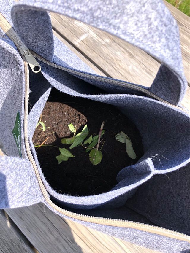 toiro-sac-en-feutrine-r-utilisable-compost-45x36-cm image 5