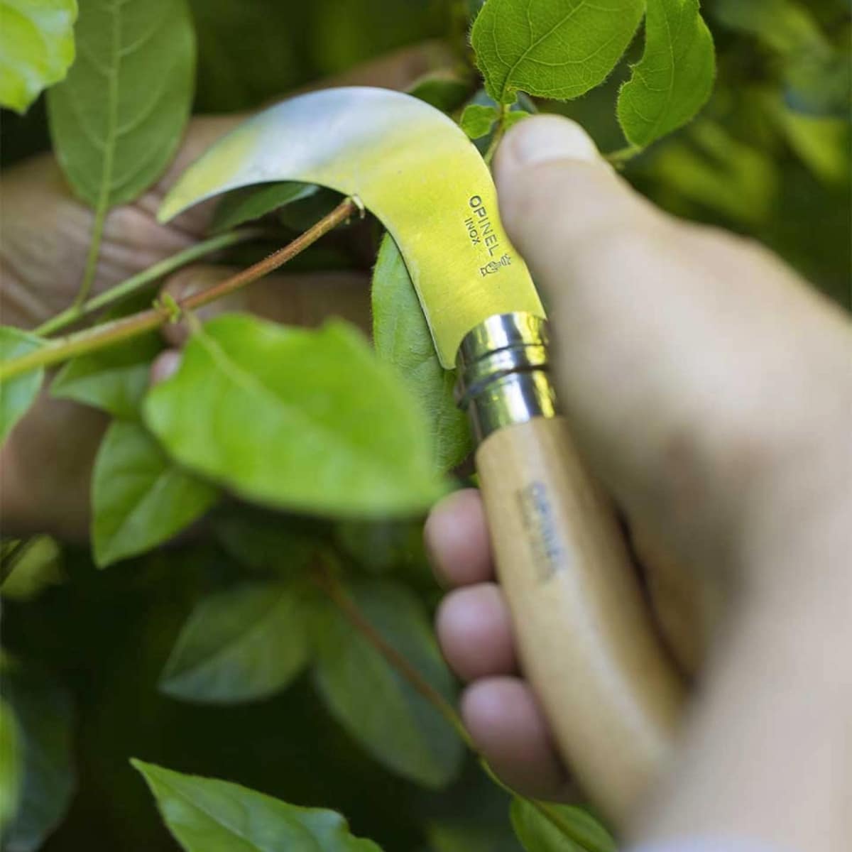 opinel-serpette-n-10-couteau-jardin-courb image 2