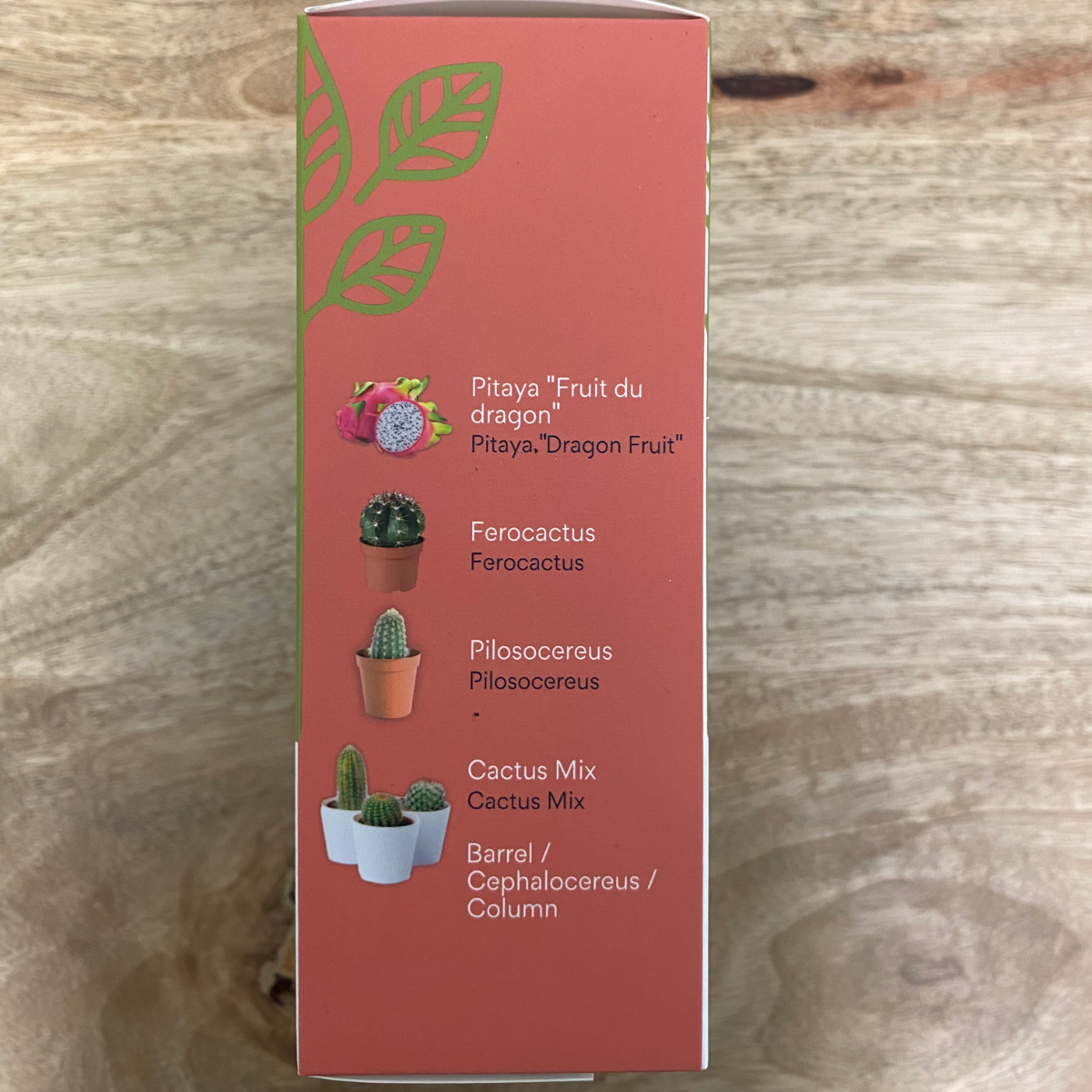 mes-courses-en-vrac-kits-planter-petit-kit-4-cactus-faire-pousser image 3