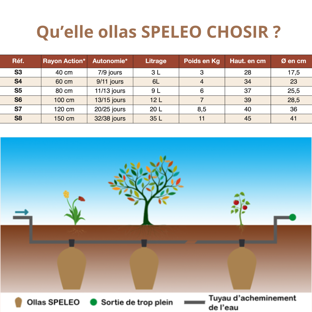 ollas-jamet-speleo-n-7-pot-irrigation-20-l-autonome image 3