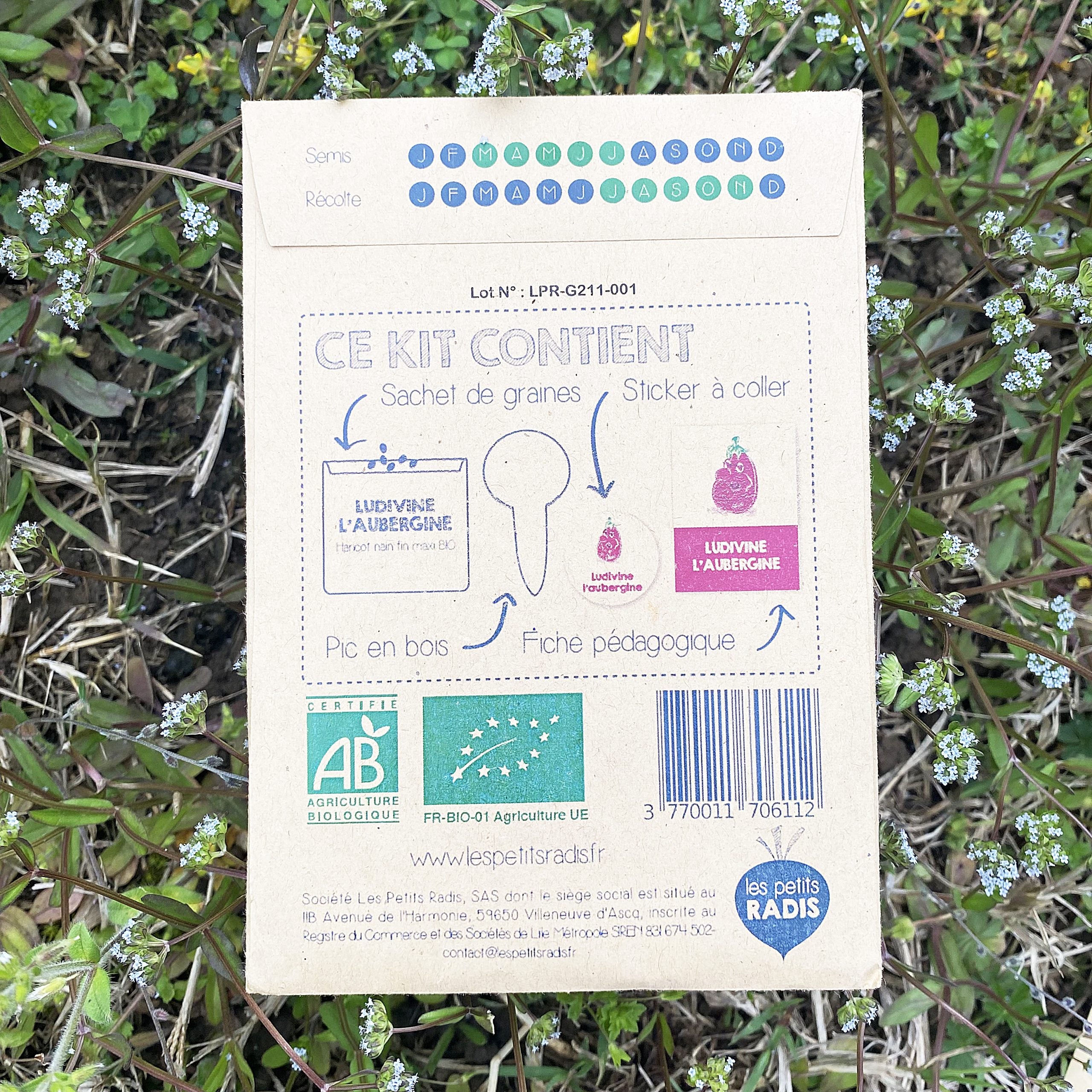 mes-courses-en-vrac-ludivine-mini-kit-graines-aubergine-bio image 2