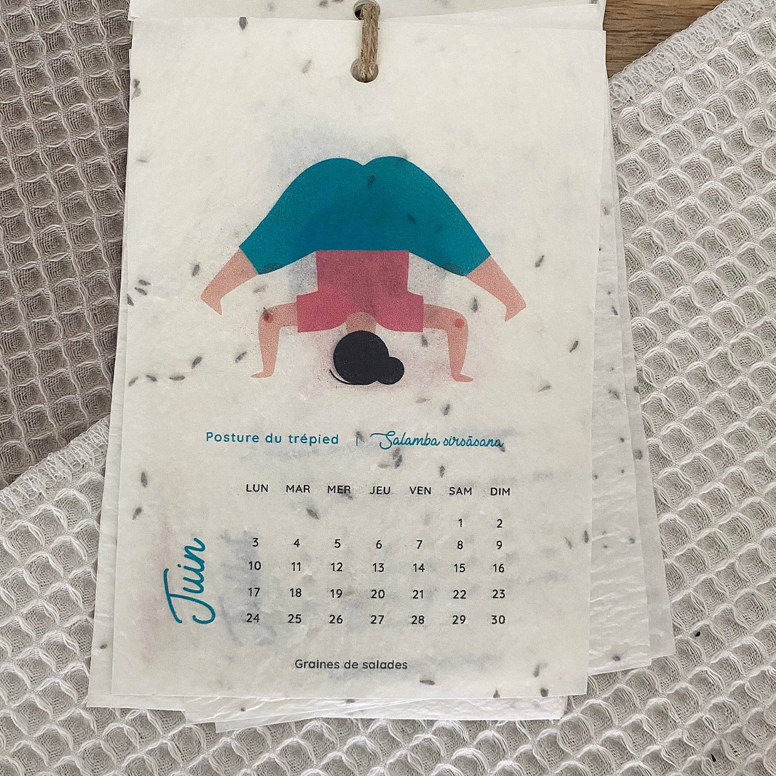 growing-paper-calendrier-ensemenc-yoga-a6-2024 image 3