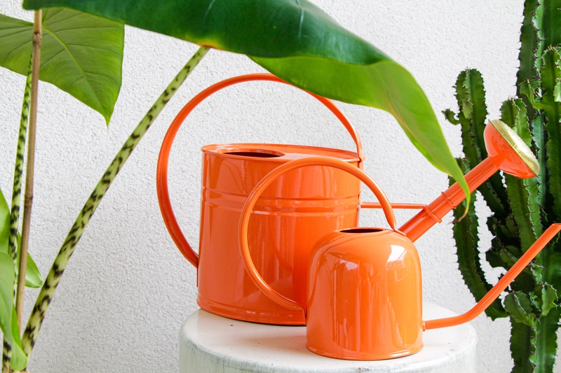 guillouard-luciole-arrosoir-rond-1-5l-corail-acier-bec-fin image 3