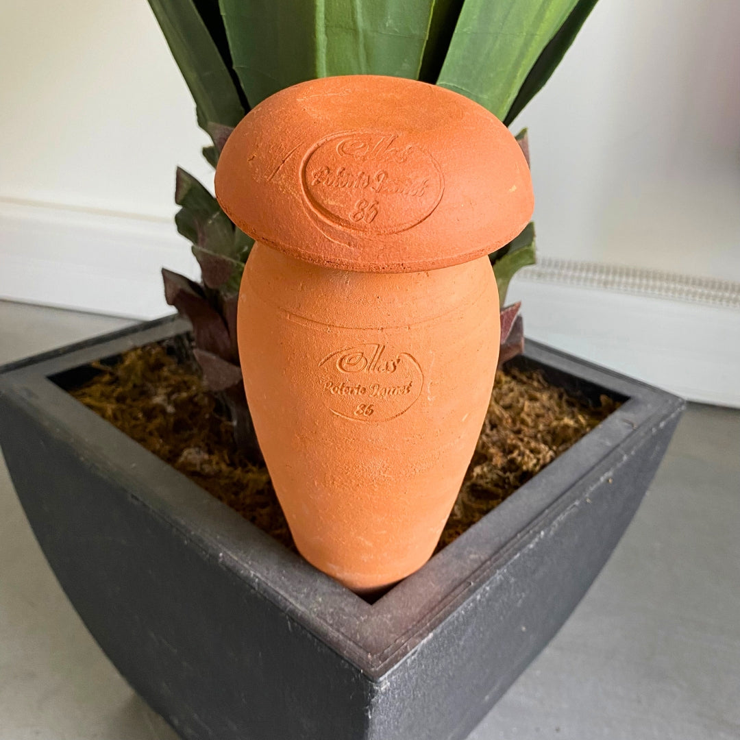poterie-jamet-ollas-planter-allong-e-olla-0-5-l-terre-brute image 4