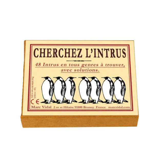 mes-courses-en-vrac-cherchez-l-intrus-jeu-48-cartes-illustr-es image 1