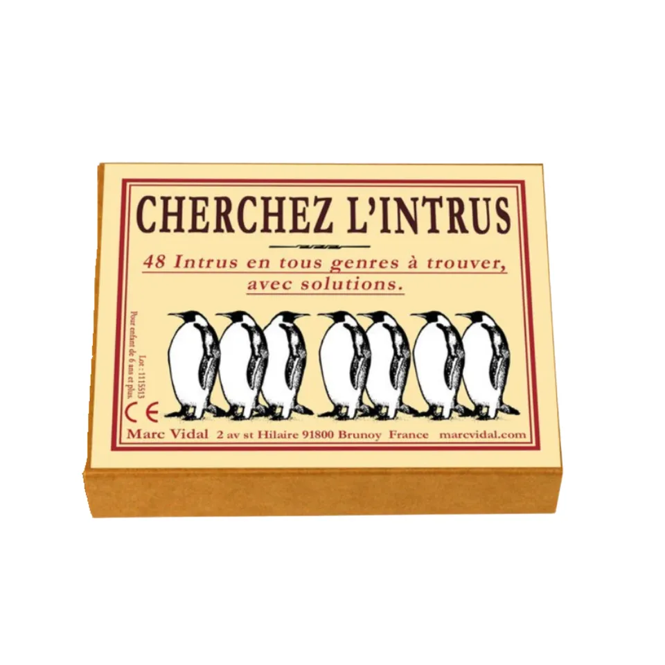 mes-courses-en-vrac-cherchez-l-intrus-jeu-48-cartes-illustr-es image 1