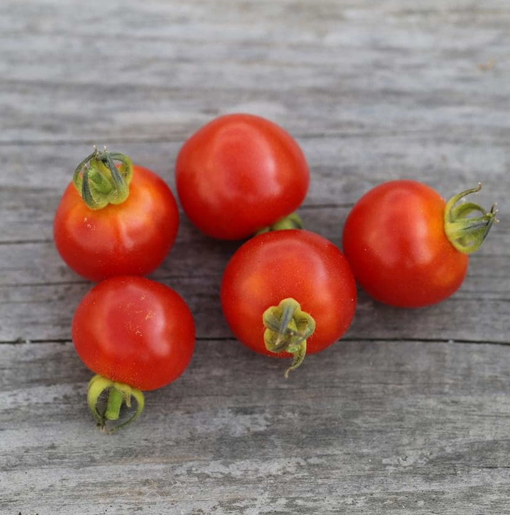 mes-courses-en-vrac-kits-planter-tomates-kit-potager-bio image 8