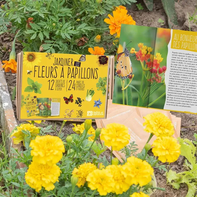 growing-paper-coffret-12-fleurs-papillons-graines image 1