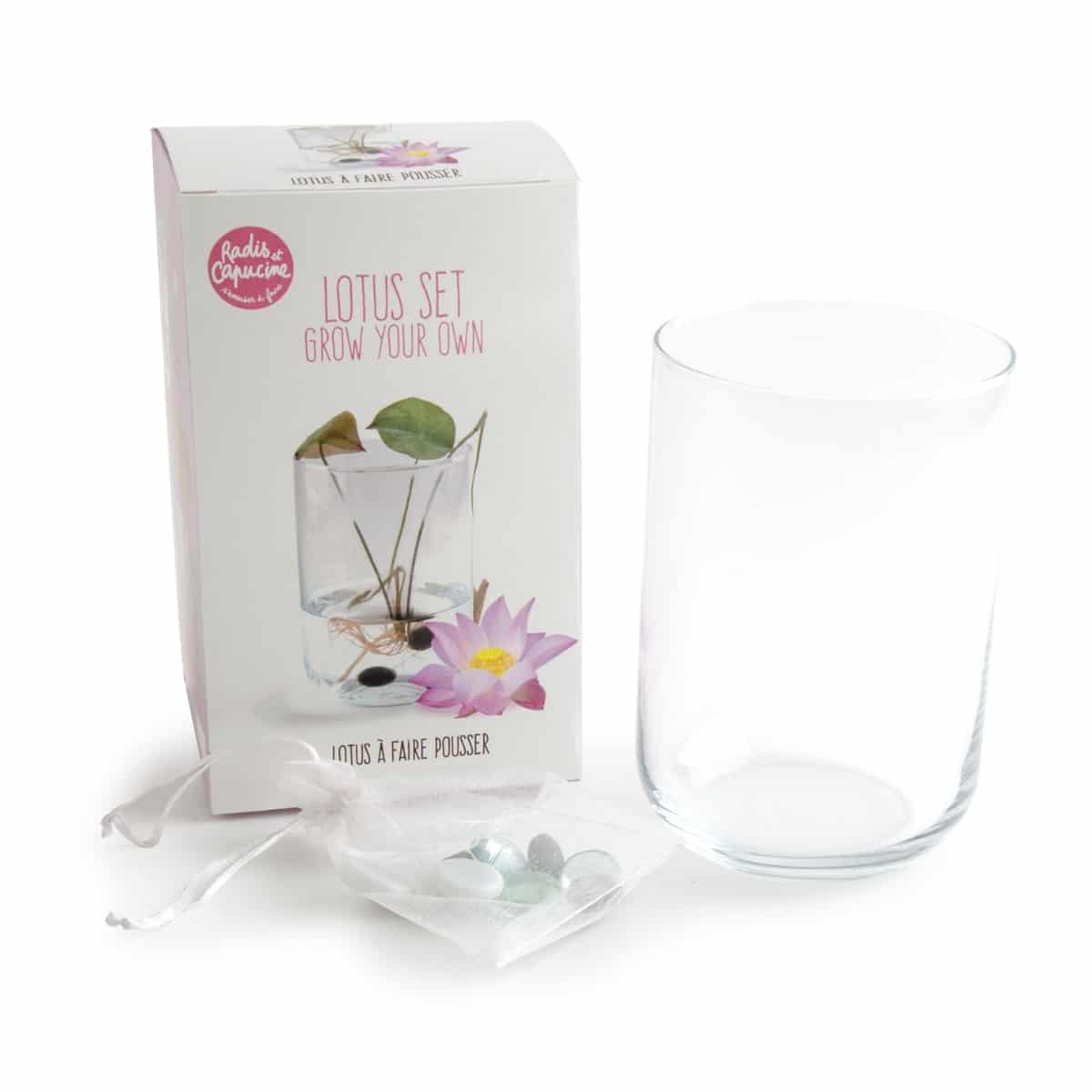 mes-courses-en-vrac-kits-planter-lotus-kit-jardin-vase-verre image 2