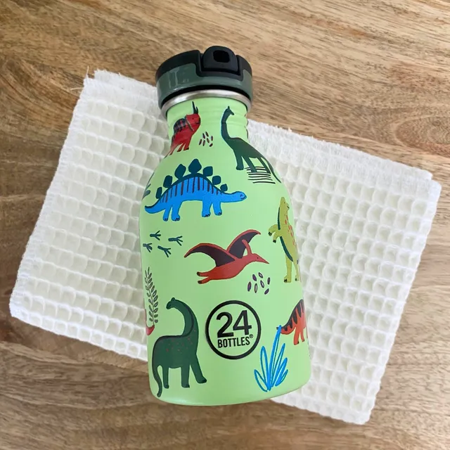 24-bottles-gourde-kids-250-ml-jurassic-friends-inox image 1