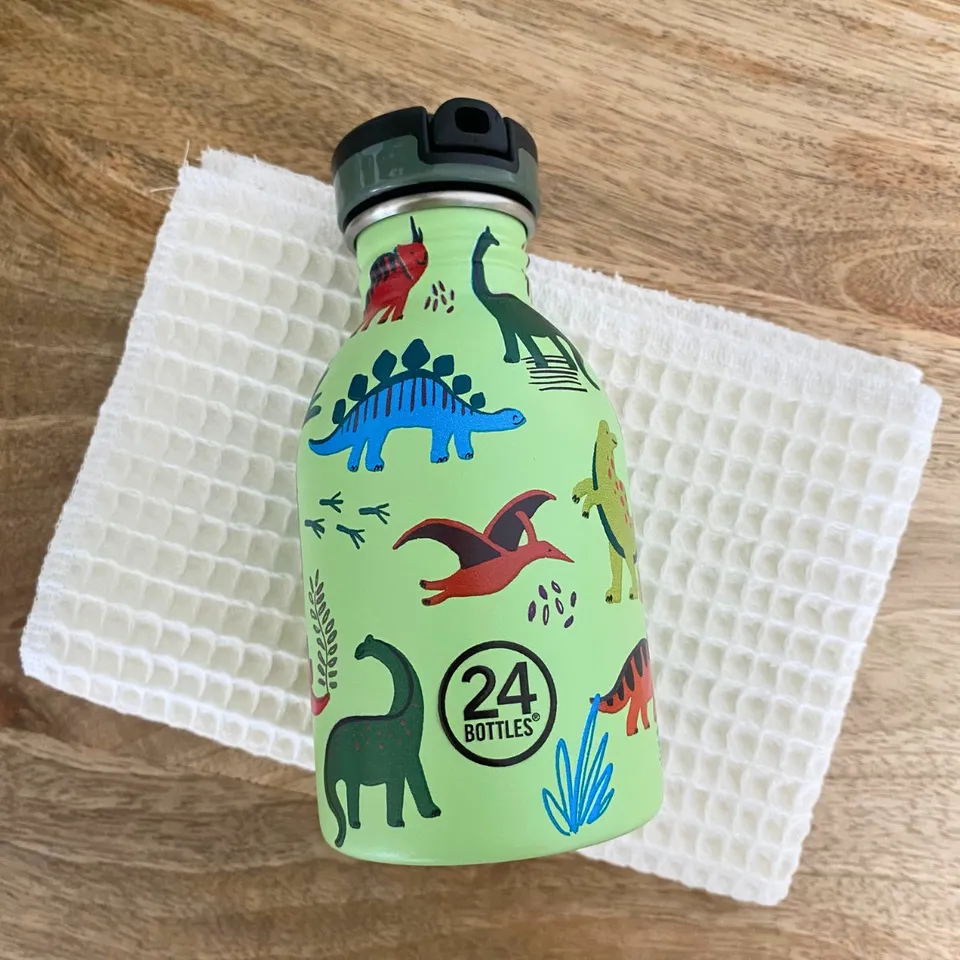 24-bottles-gourde-kids-250-ml-jurassic-friends-inox image 1