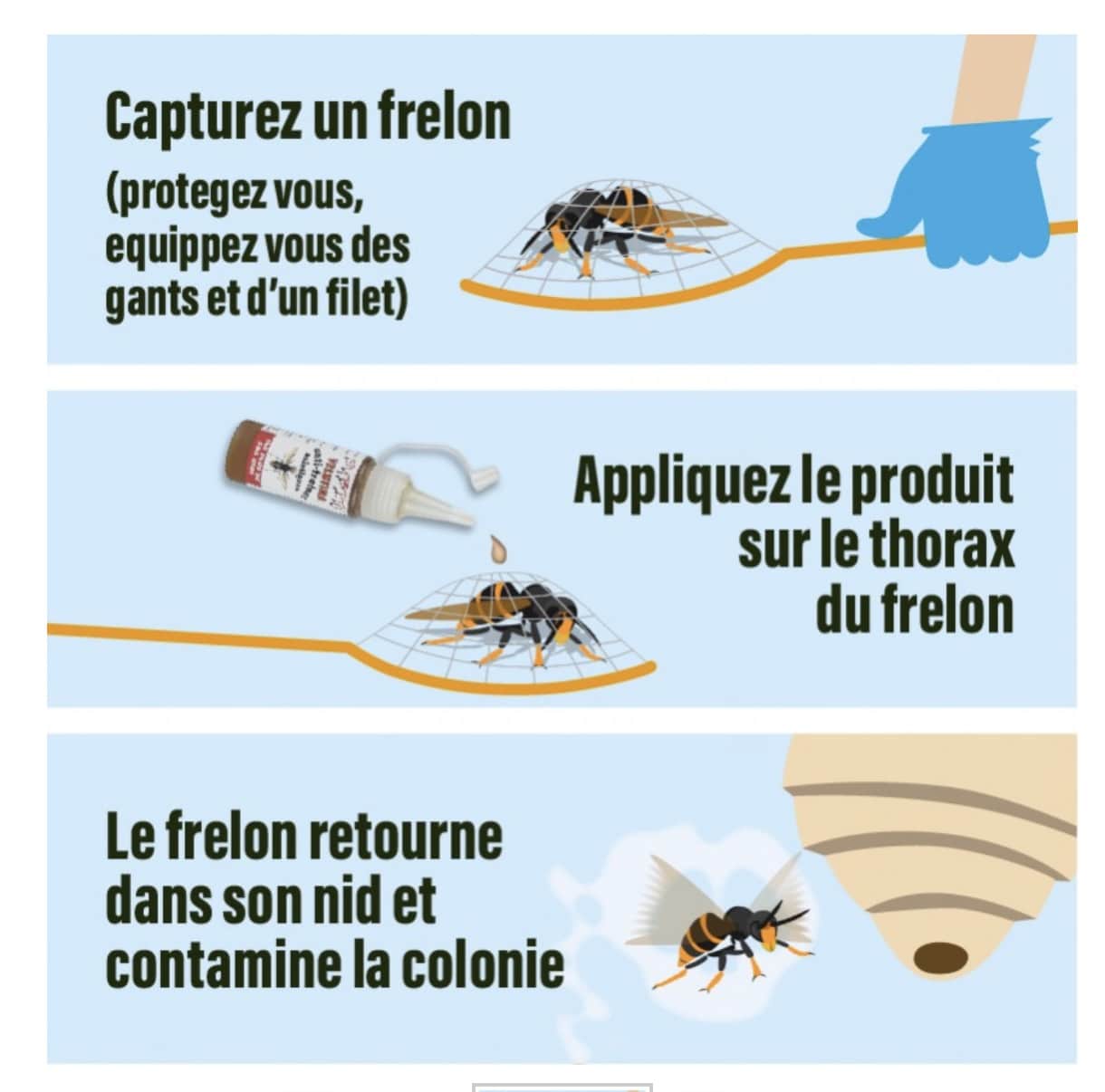 subito-velutina-insecticide-frelon-asiatique-65-g image 2