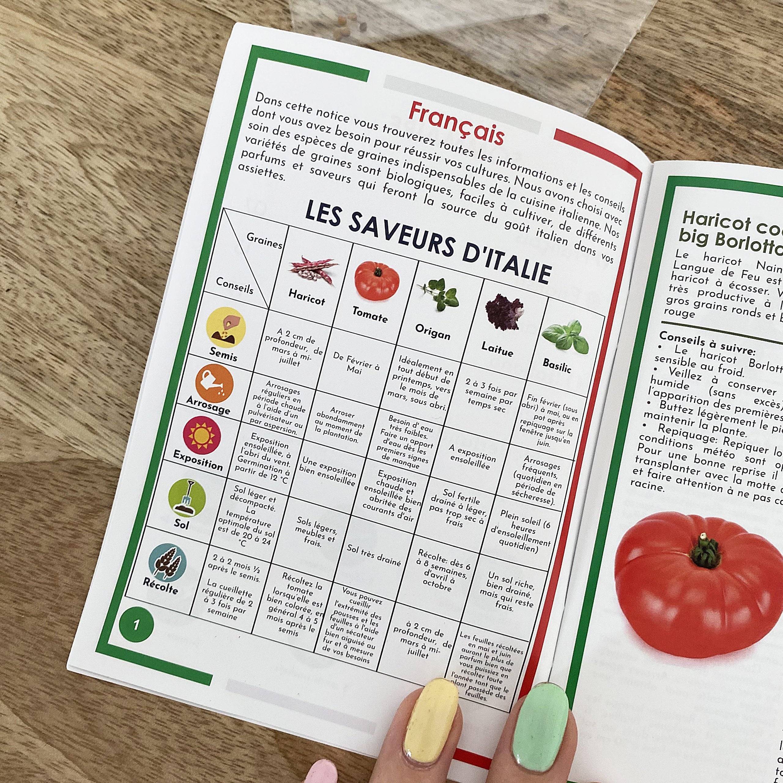 mes-courses-en-vrac-kits-planter-menu-italien-bio-kit-potager-5-graines image 4
