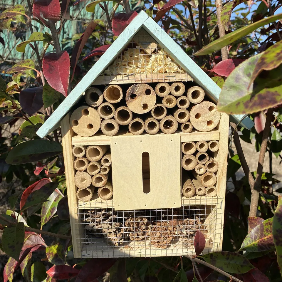mes-courses-en-vrac-grand-h-tel-insectes-bois-naturel image 1
