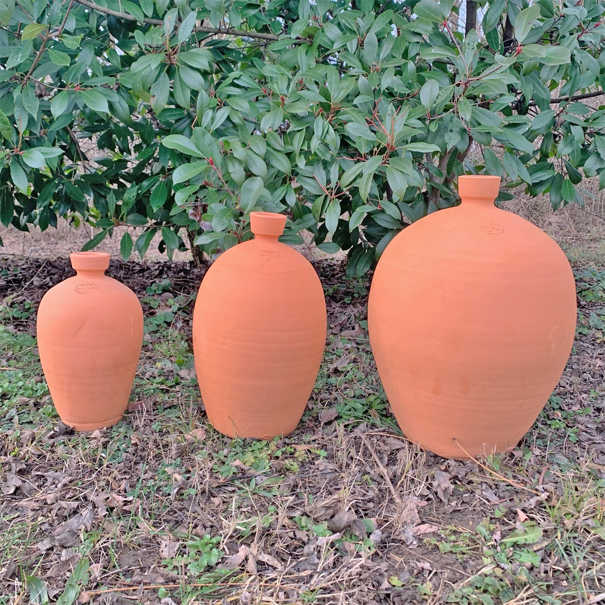 ollas-jamet-speleo-olla-irrigation-c-ramique-35-l-autonome image 3