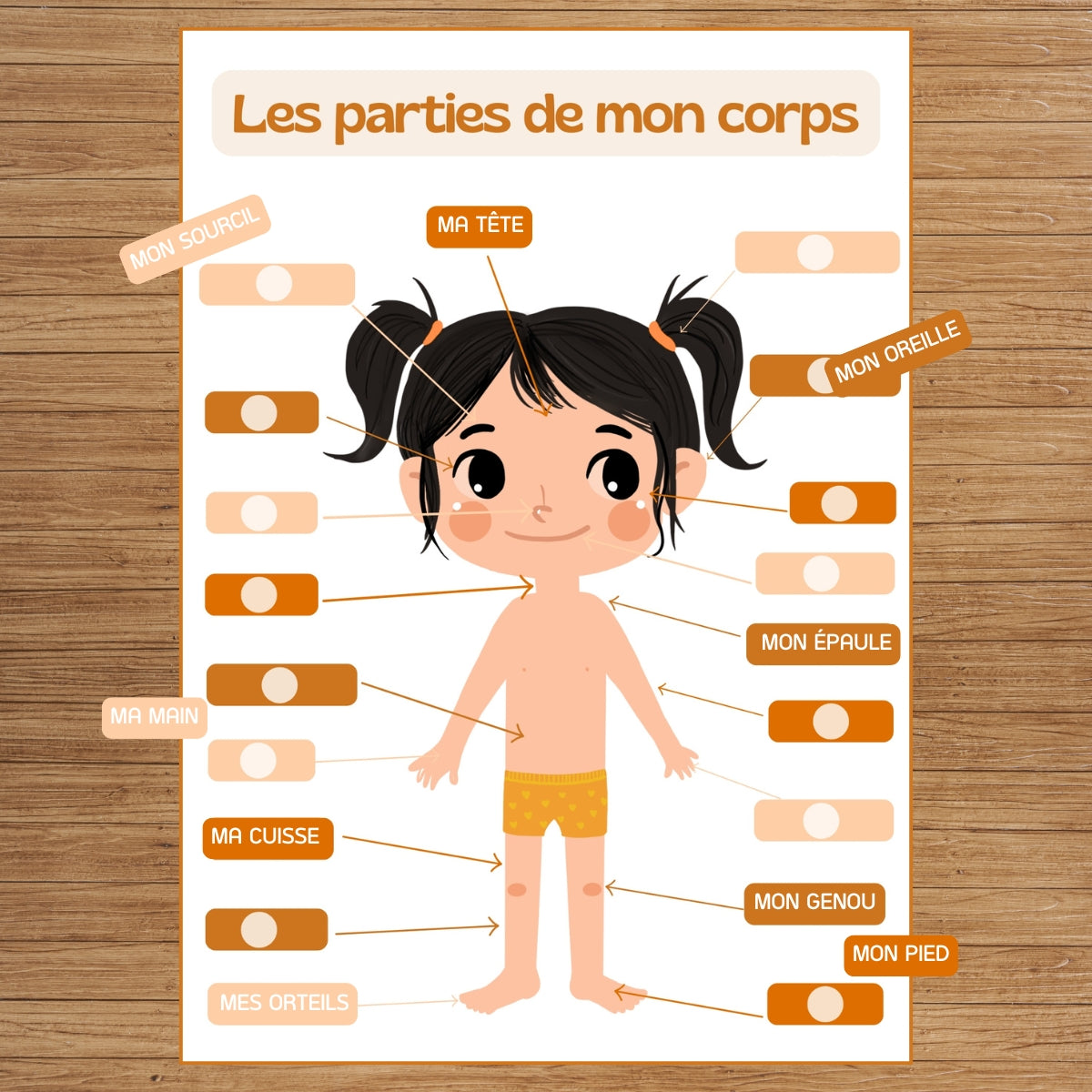 mes-courses-en-vrac-routines-j-apprends-corps-fille-tableau-ducatif image 1
