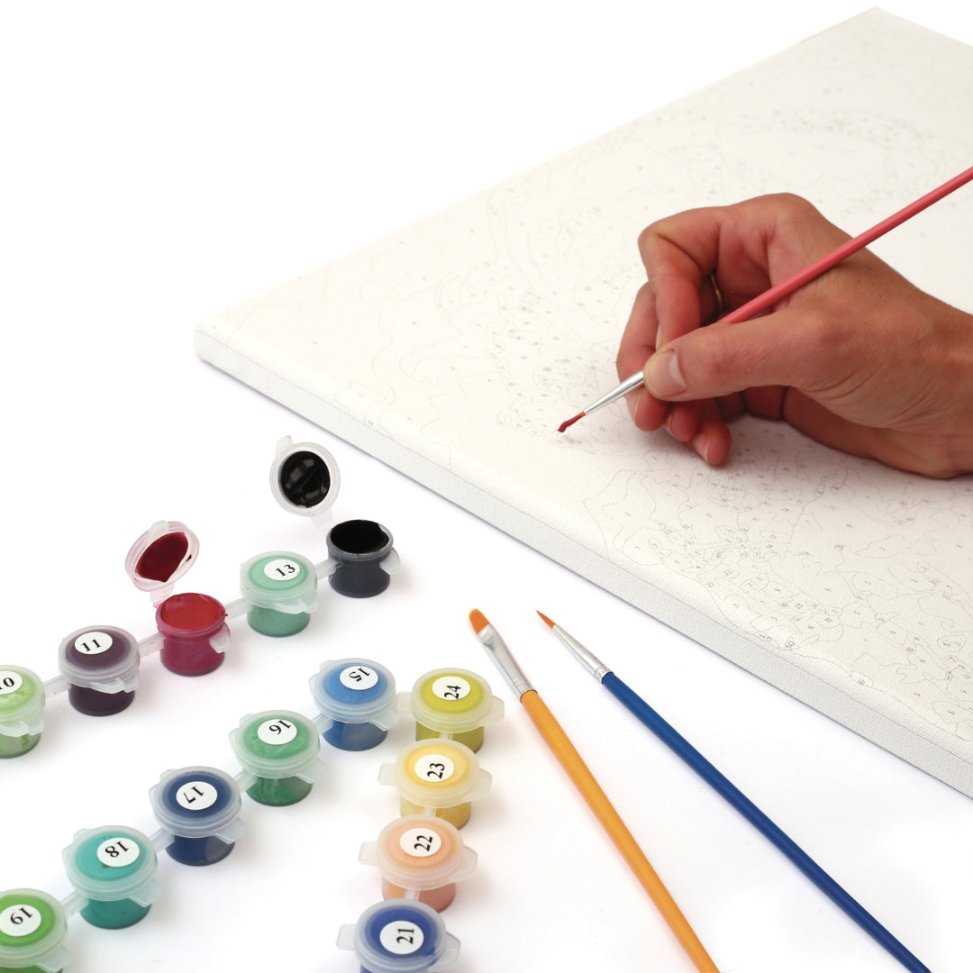 mes-courses-en-vrac-papillons-peinture-par-num-ros-20x30-cm image 3