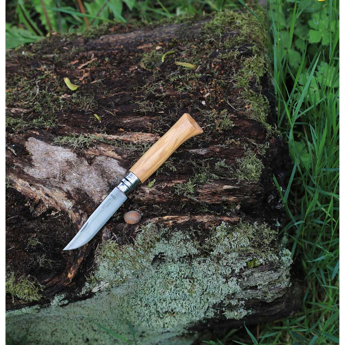 opinel-couteau-olivier-n-08-pliant-manche-bois image 3