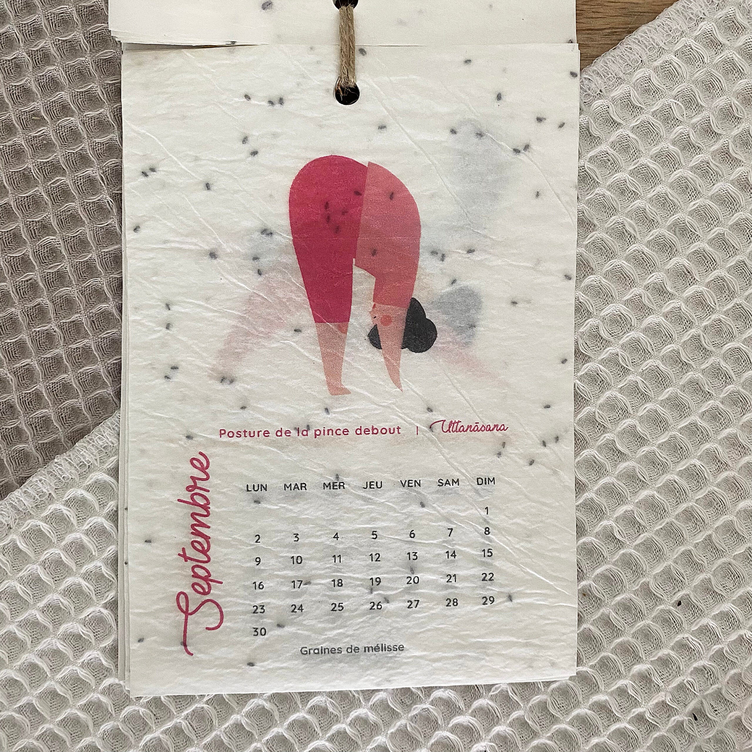 growing-paper-calendrier-ensemenc-yoga-a6-2024 image 2