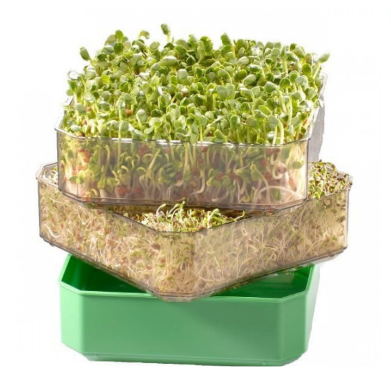 germline-germoir-2-tages-plateaux-germination image 2