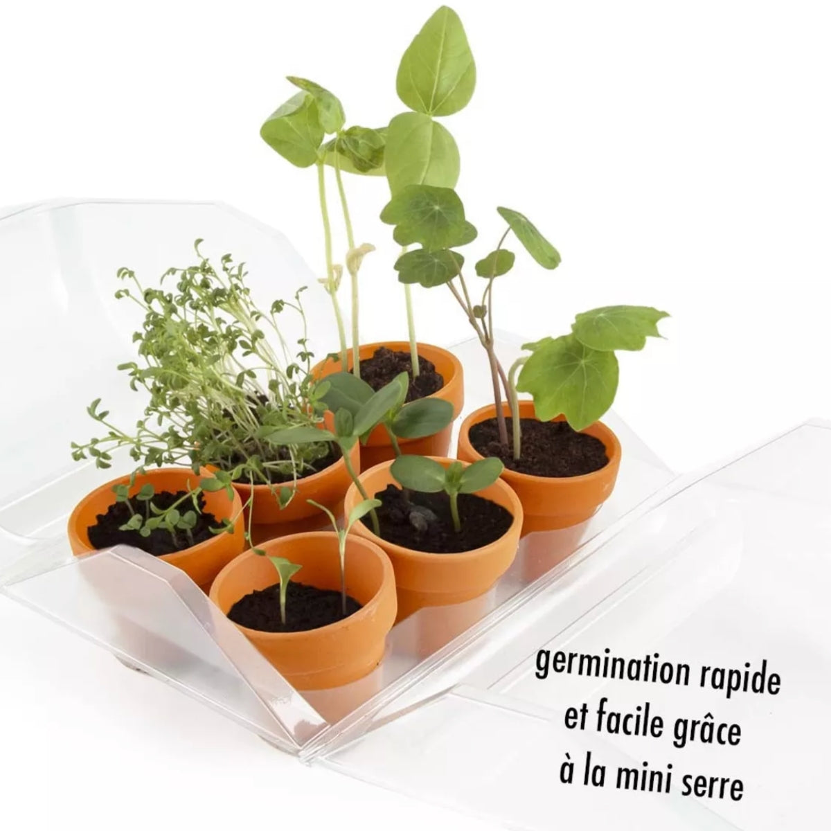 mes-courses-en-vrac-kits-planter-mon-premier-potager-bio-serre-enfant image 2