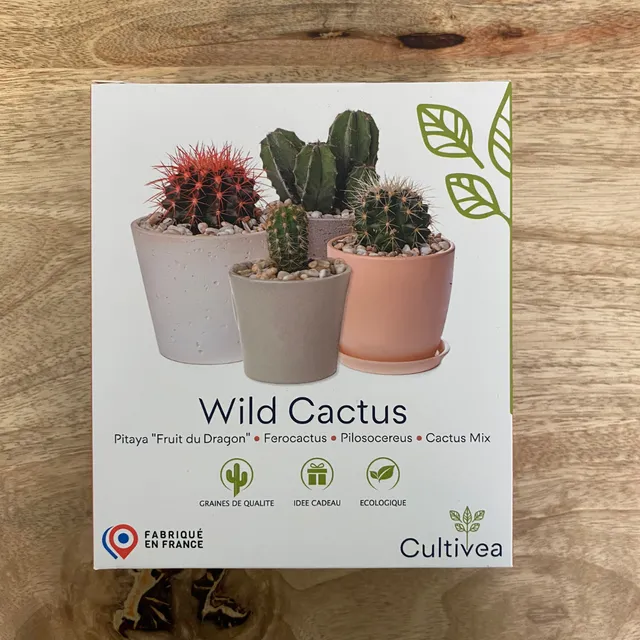 mes-courses-en-vrac-kits-planter-petit-kit-4-cactus-faire-pousser image 1